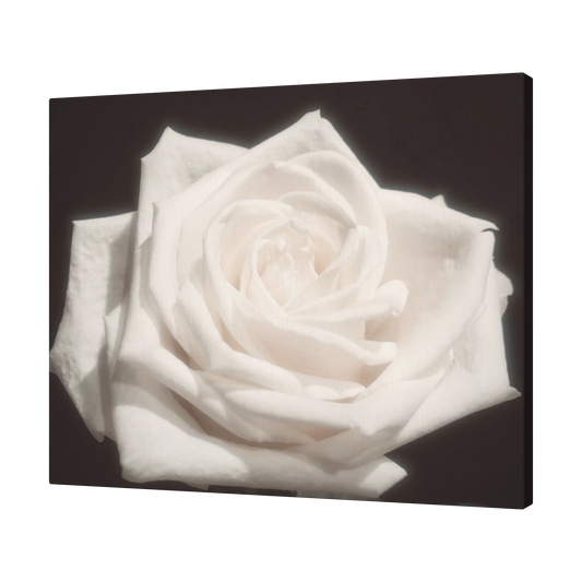 Pale_Mist_Rose_H_Angle_T_Mockup.png