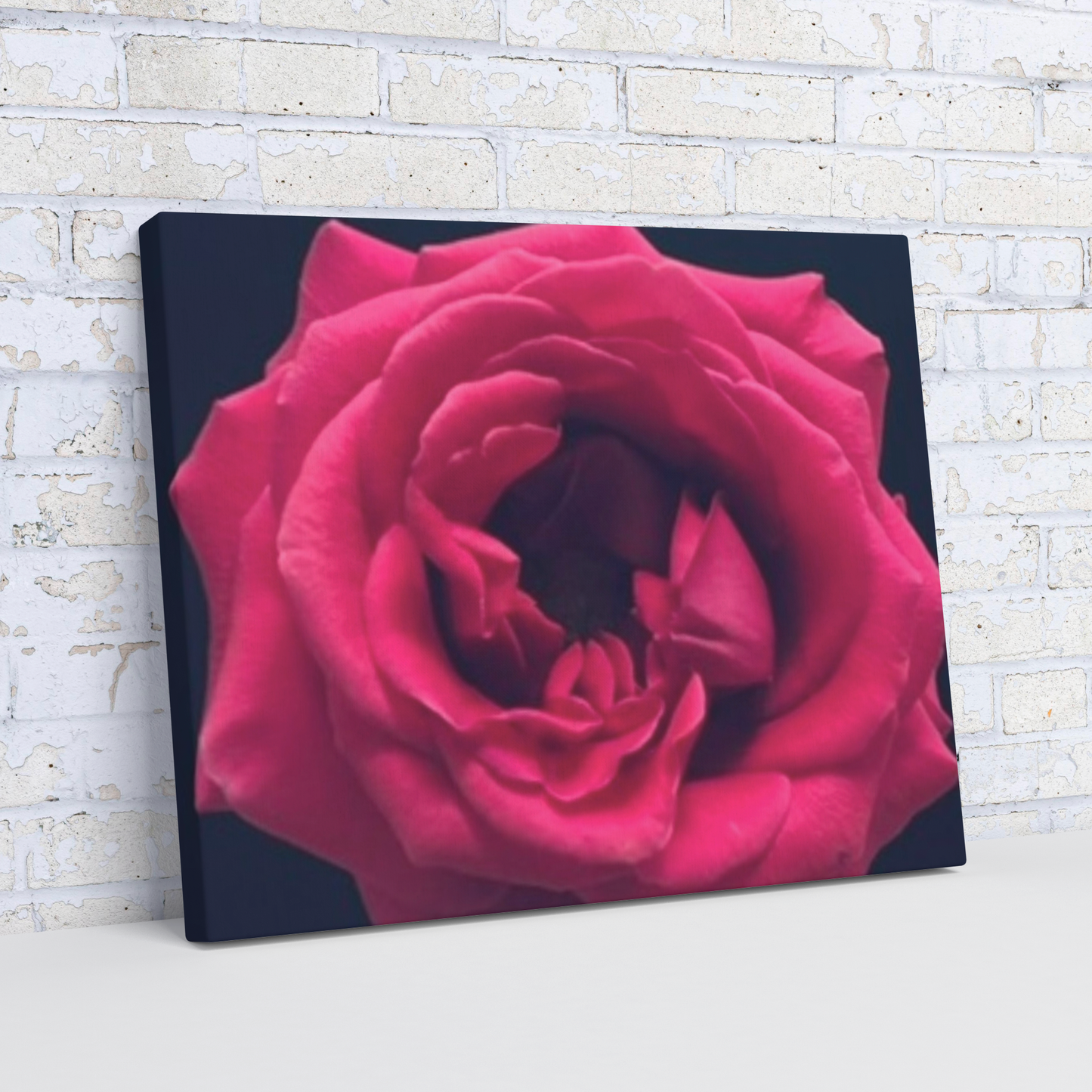 Hot_Pink_Rose_H_Angle_Wall_Mockup.png