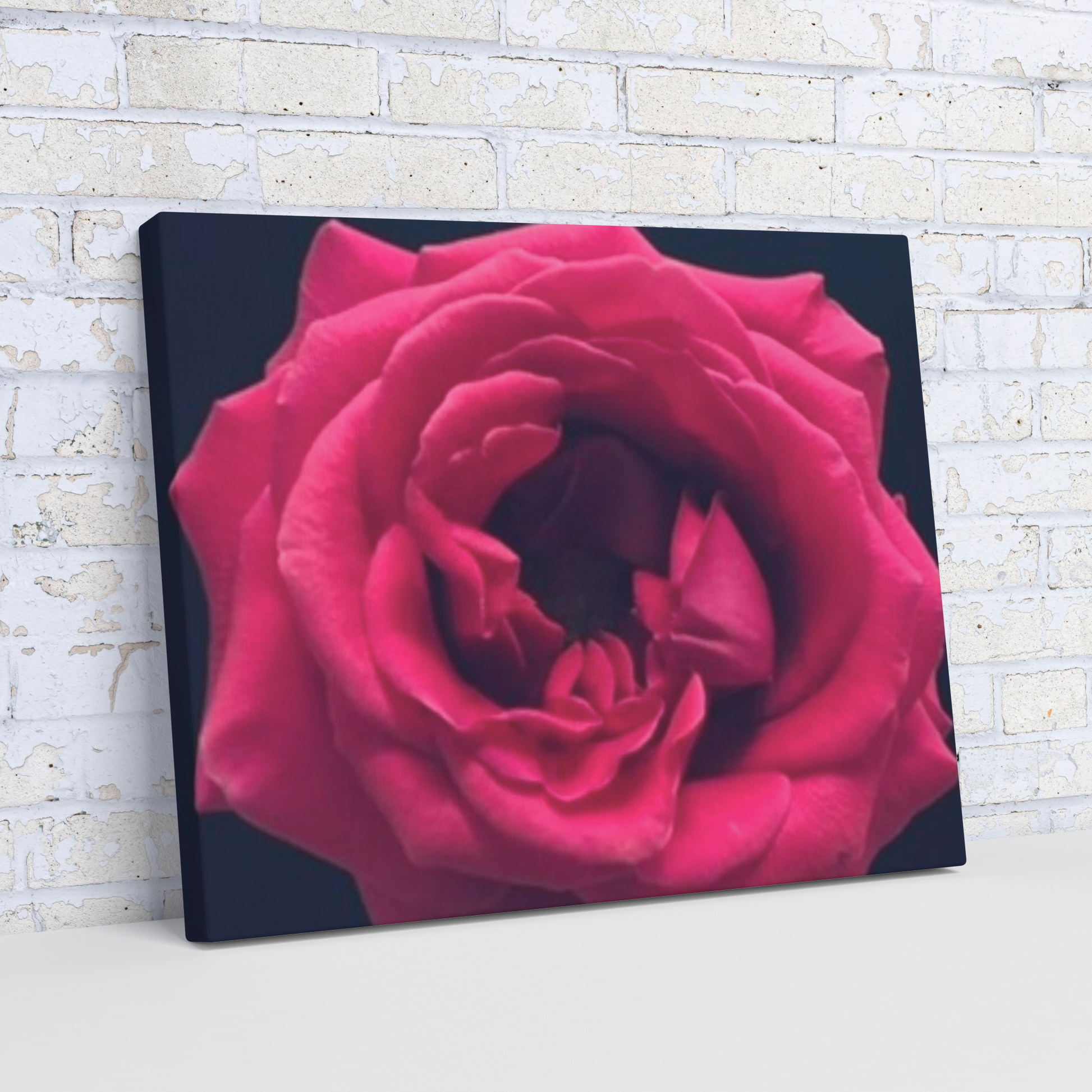 Hot_Pink_Rose_H_Angle_Wall_Mockup.png
