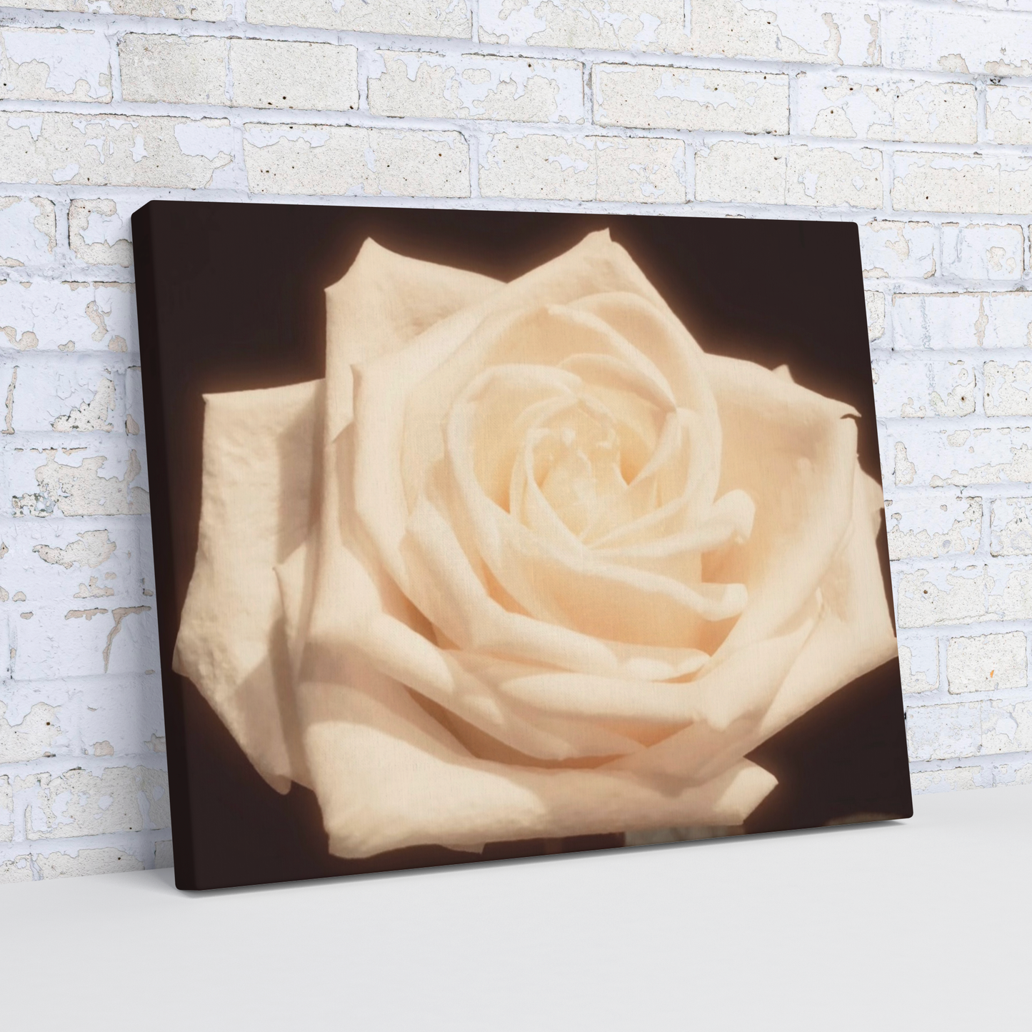 Pale_Yellow_Rose_H_Angle_Wall_Mockup.png