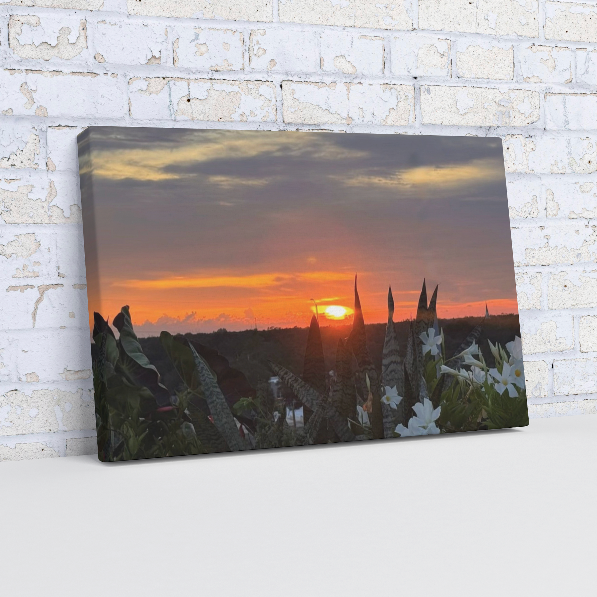 Rooftop_Sunset_Angle_Wall_Mockup.png