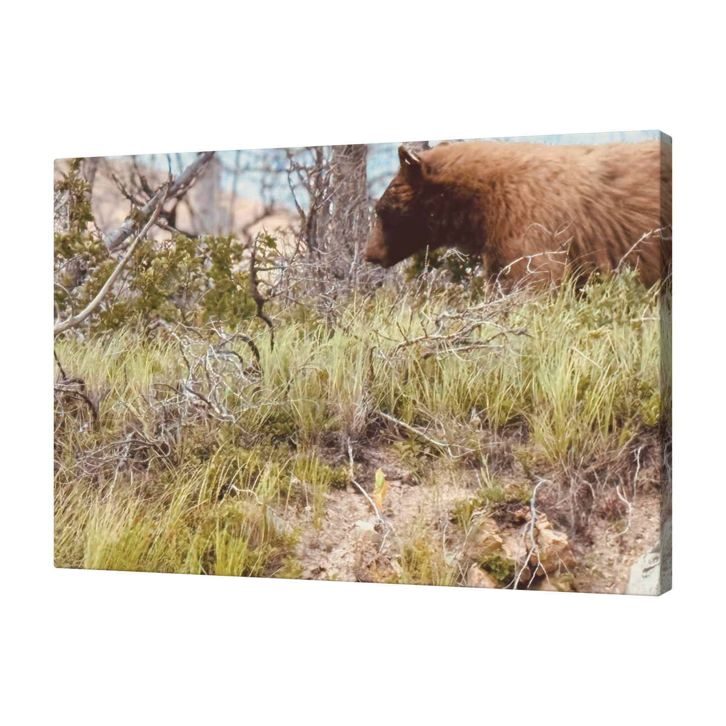 Yellowstone_Griz_Angle_T_Mockup.png