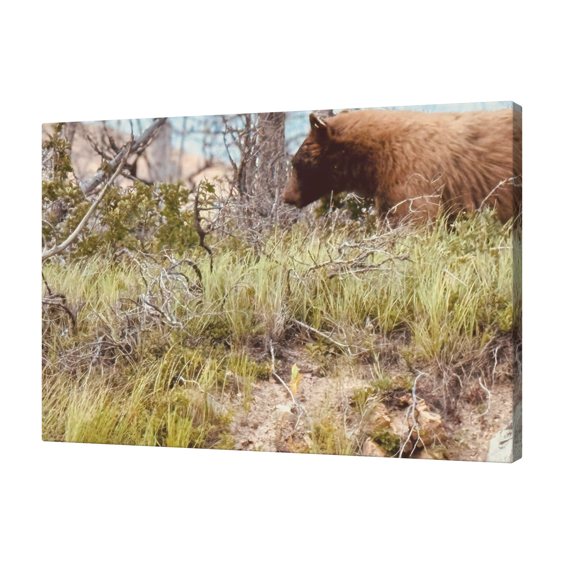 Yellowstone_Griz_Angle_T_Mockup.png