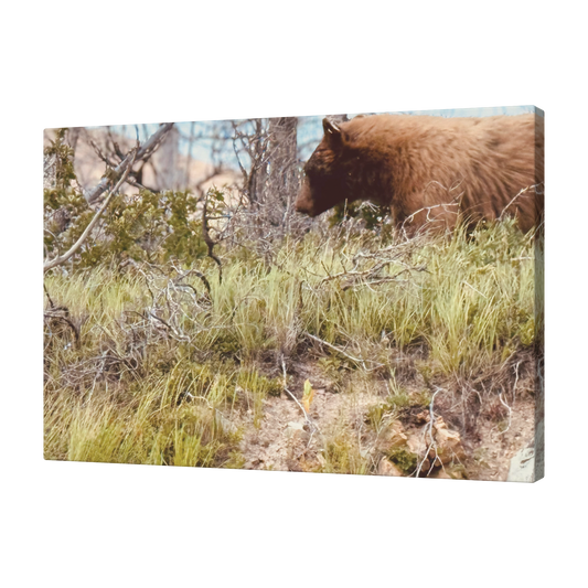 Yellowstone_Griz_Angle_T_Mockup.png