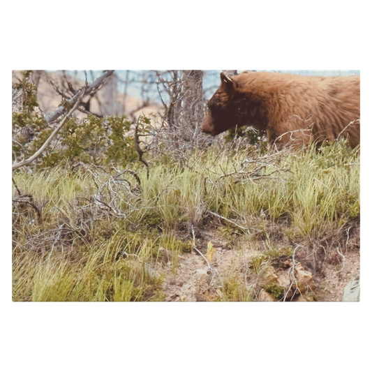 Yellowstone_Griz_H_Main_Mockup.png